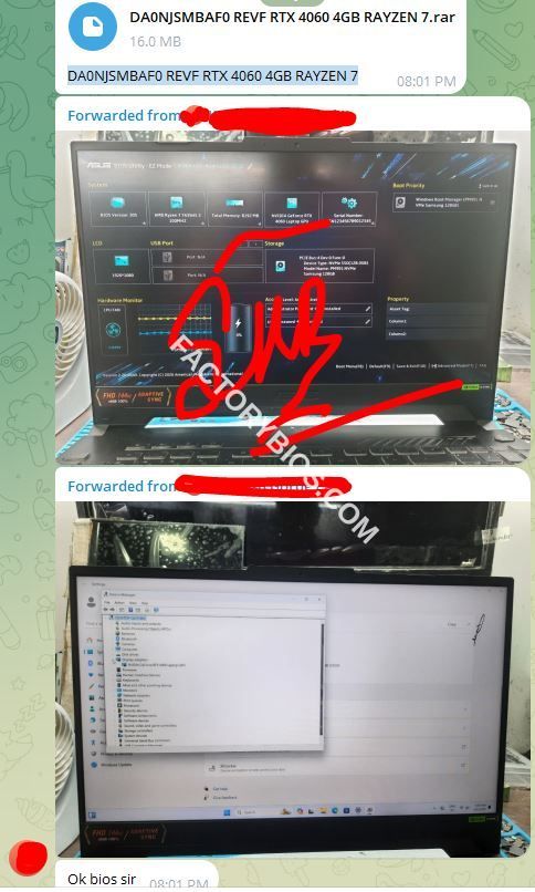 FEEDBACK